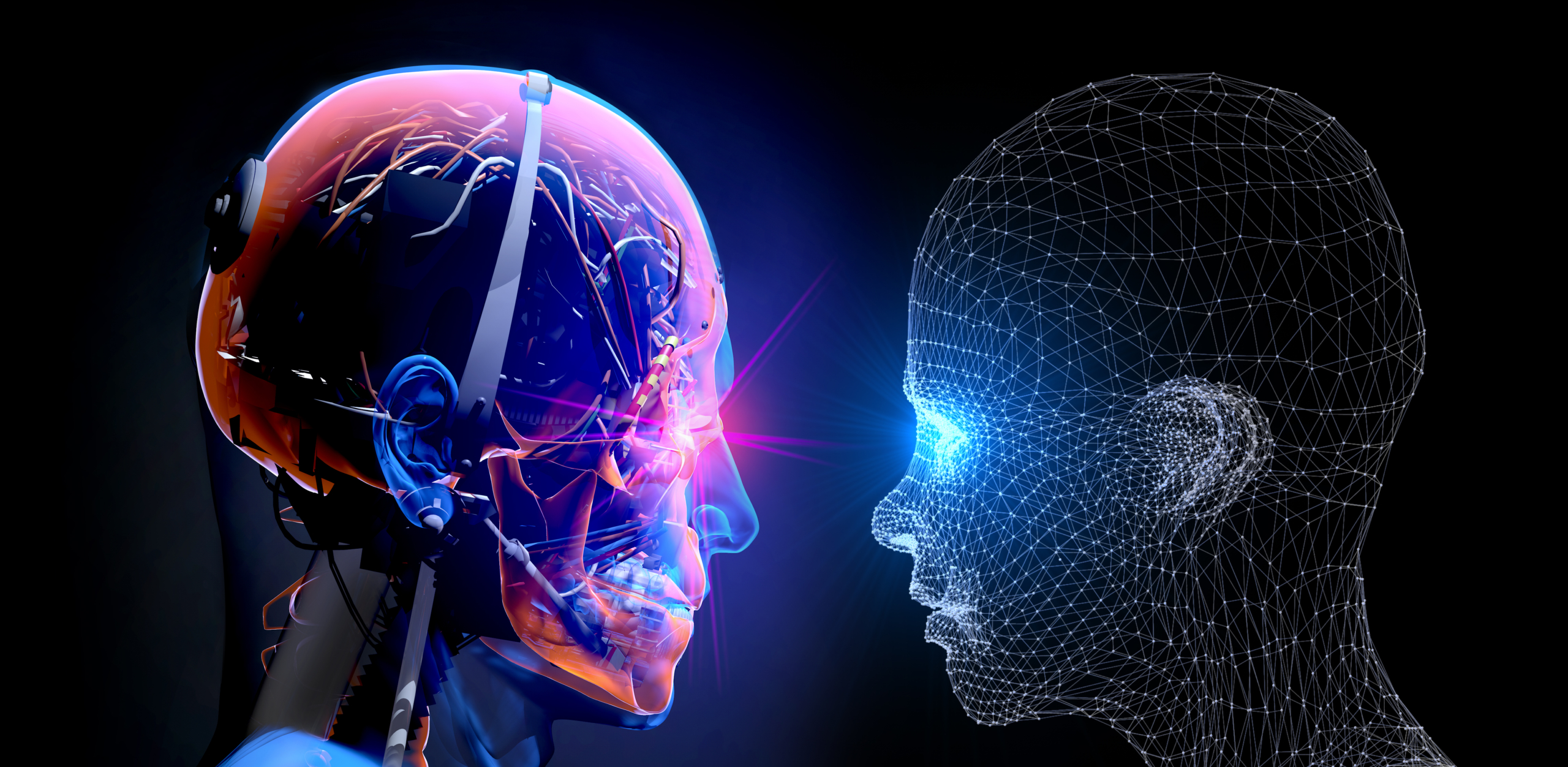 Digital Supplier Network