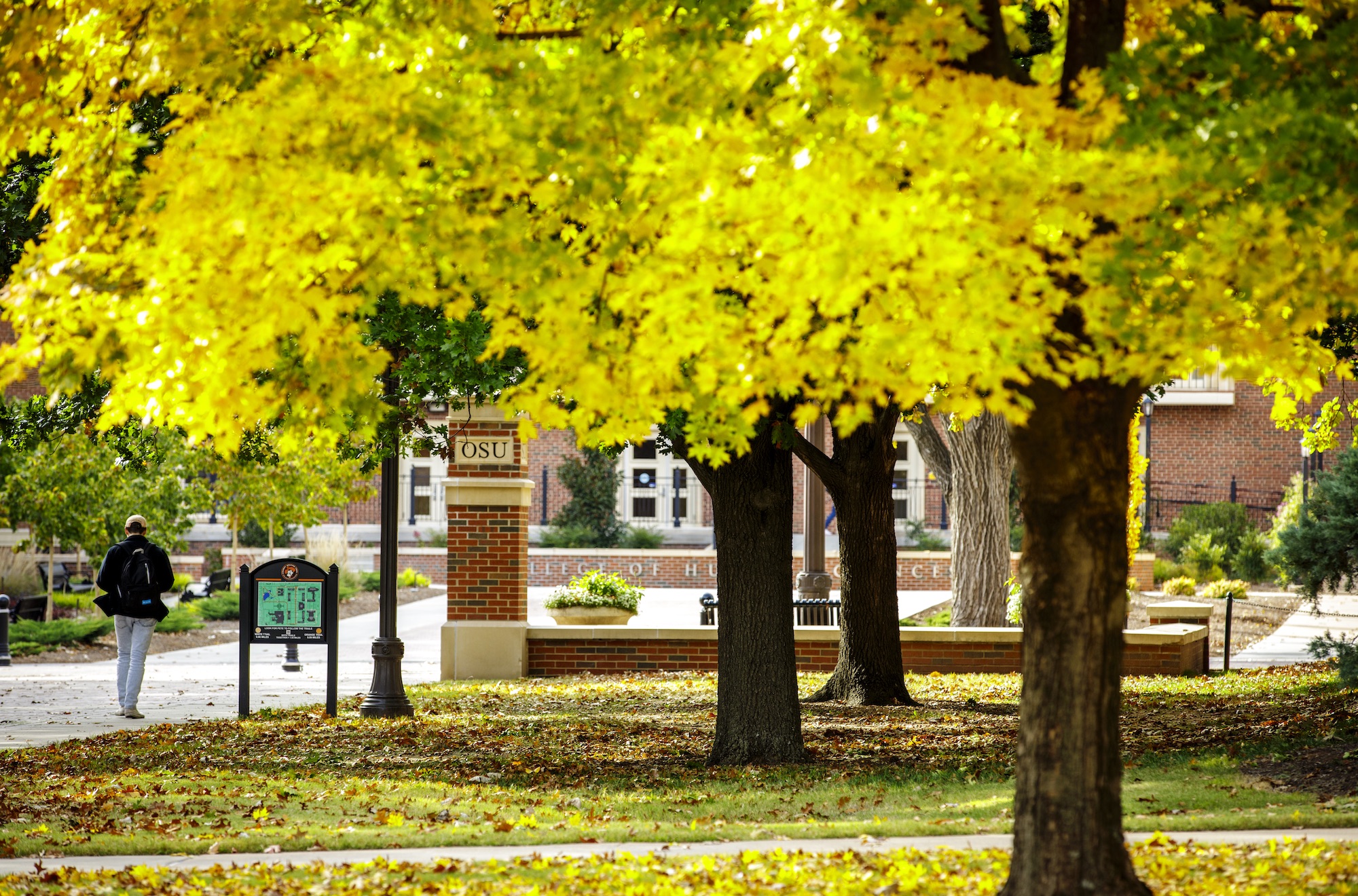 Oklahoma state university campus