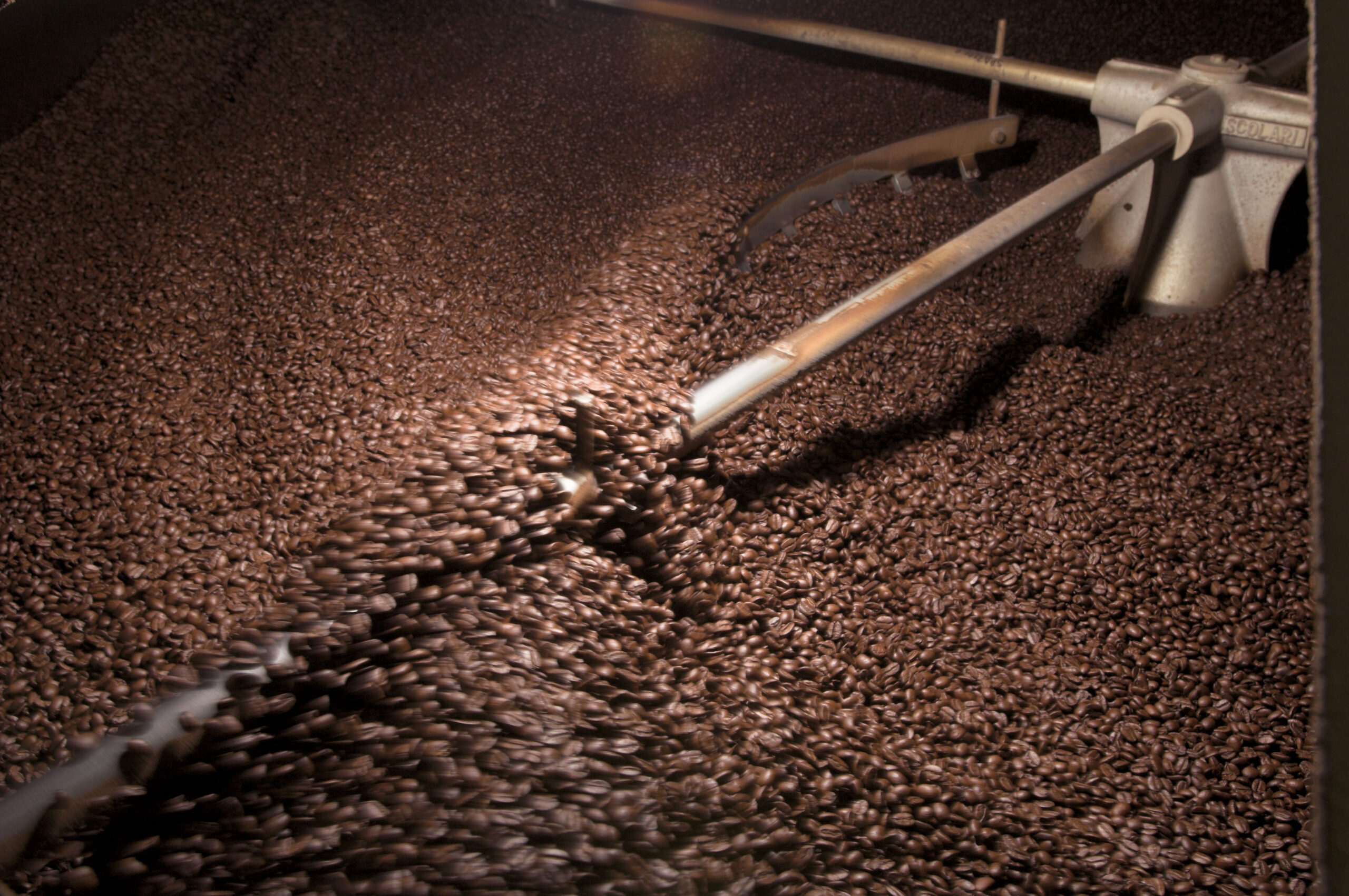 Dalla qualifica dei fornitori al contract management: il progetto di Digital Procurement di illycaffé