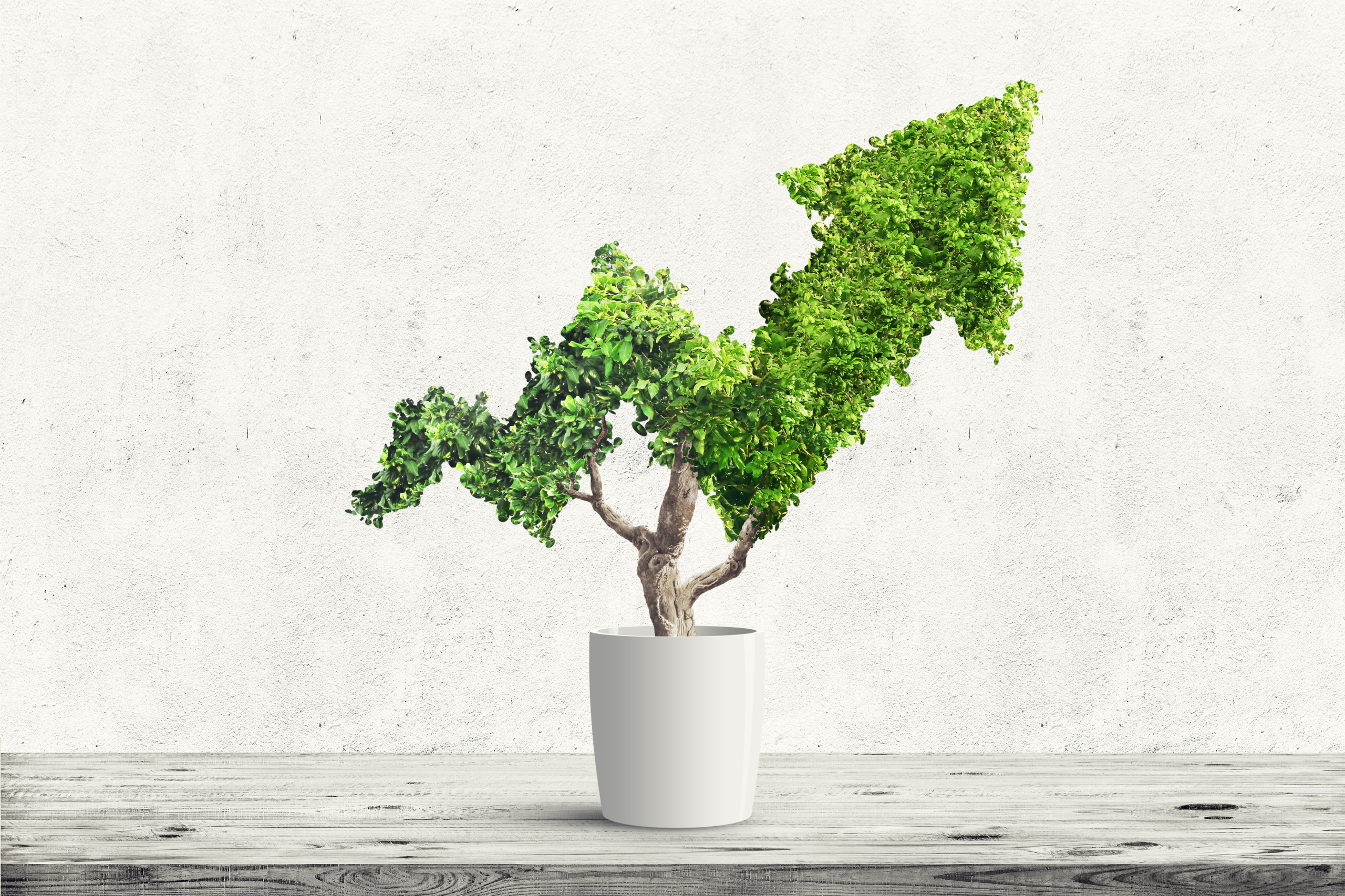 tree Justifier votre investissement dans une solution de gestion des contrats