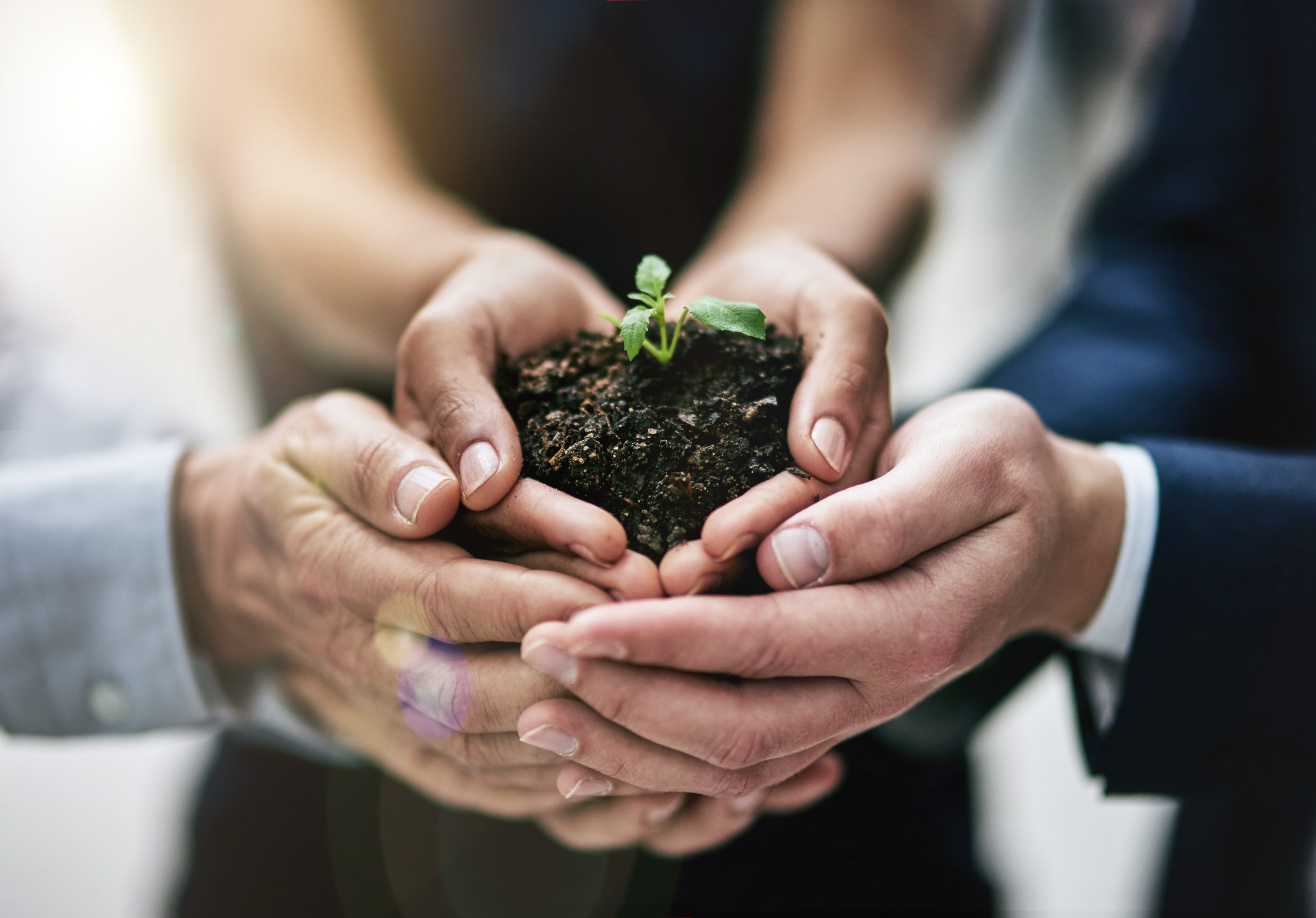 Unlocking-Sustainable-Success-in-Procurement-scaled (1) Nachhaltigen Erfolg in der Beschaffung sichern