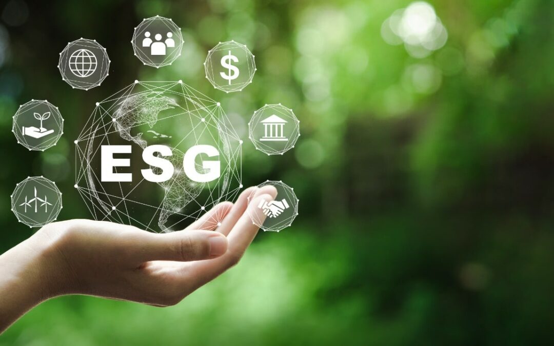 Financial Implications of Not Having Net Zero Plans