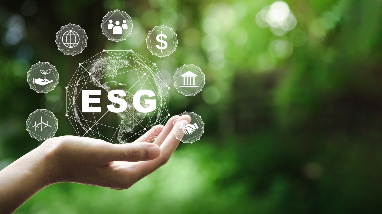 Financial Implications of Not Having Net Zero Plans