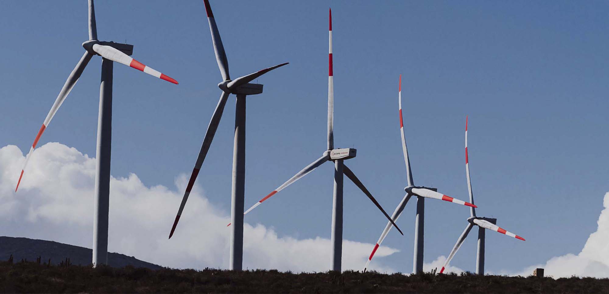 ACCIONA monitoriza el riesgo de 43.000 proveedores gracias a la digitalización de sus procedimientos de compra