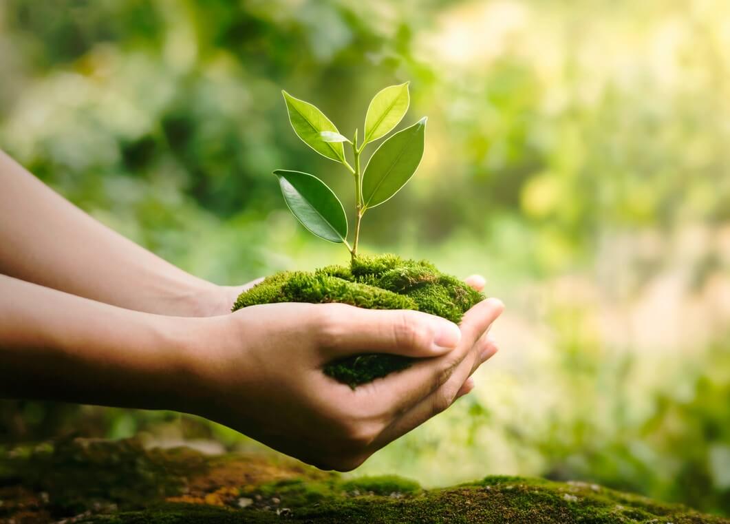 JAGGAER riduce del 10% le sue emissioni di CO2  e aumenta la presenza  delle donne in azienda anche per i ruoli di leadership