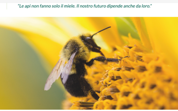 JAGGAER sostiene la salvaguardia delle api con “Bee my Future”