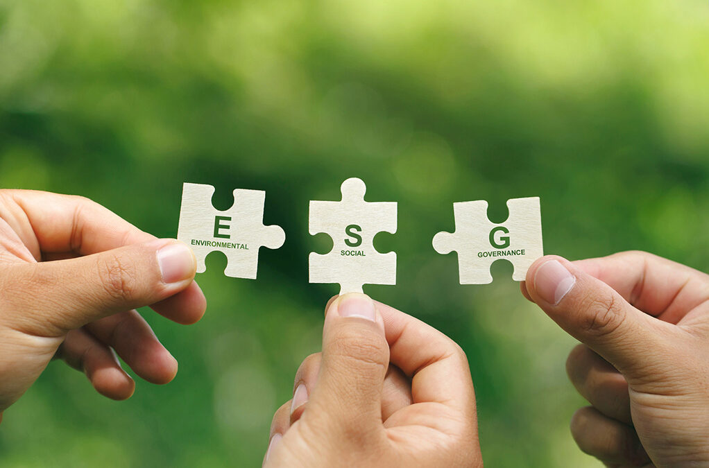 Il percorso ideale per implementare misure Esg in azienda