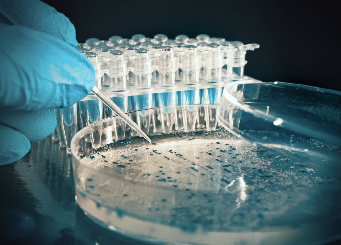 Global Top Ten Pharmaceutical Company Implements JAGGAER’s Industry-leading Chemical Inventory Management Solution