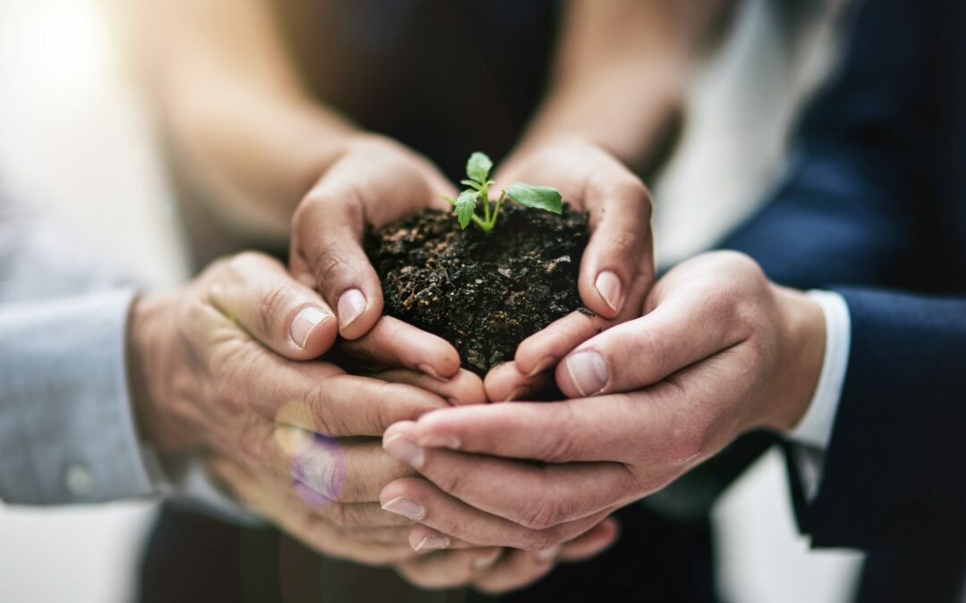Unlock Sustainable Success in Procurement