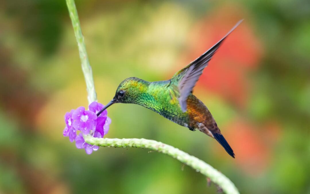 Why Procurement Needs a More Agile Mindset