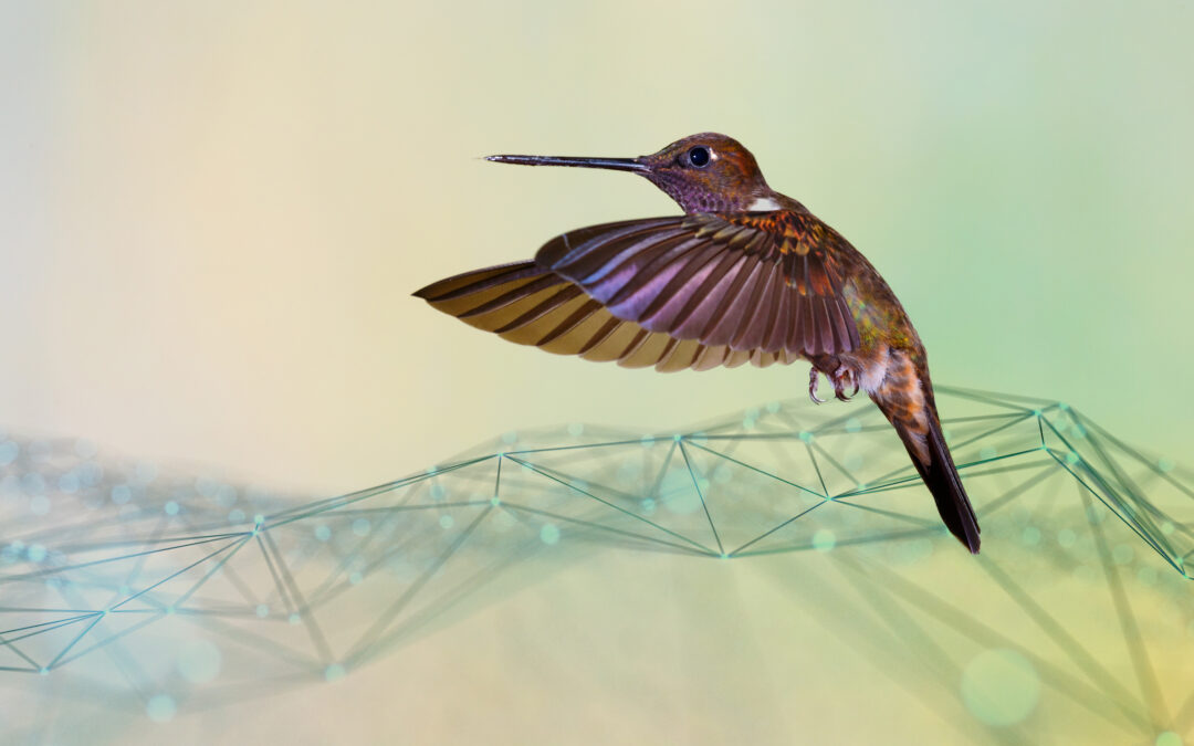 The Future of Agile Procurement