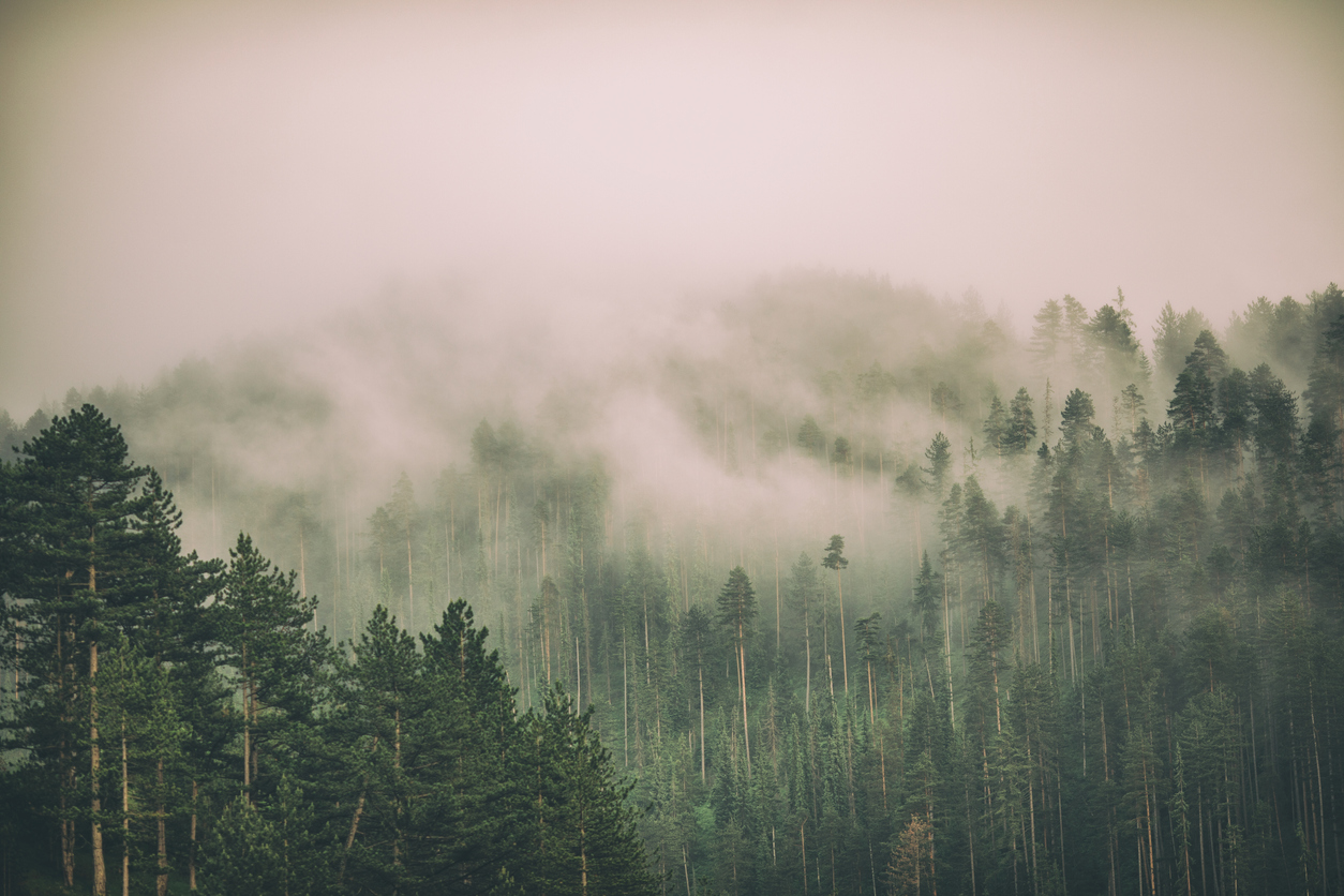 4 Benefits of Increased Visibility in the Procurement Workflow