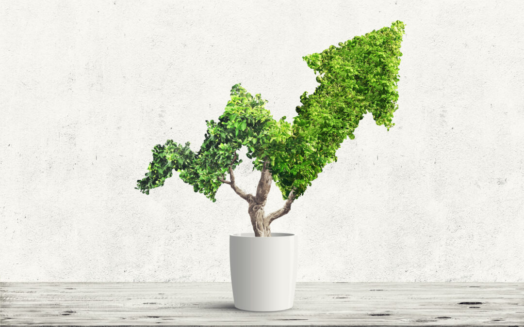 Contract Management — Making the Business Case for Investment