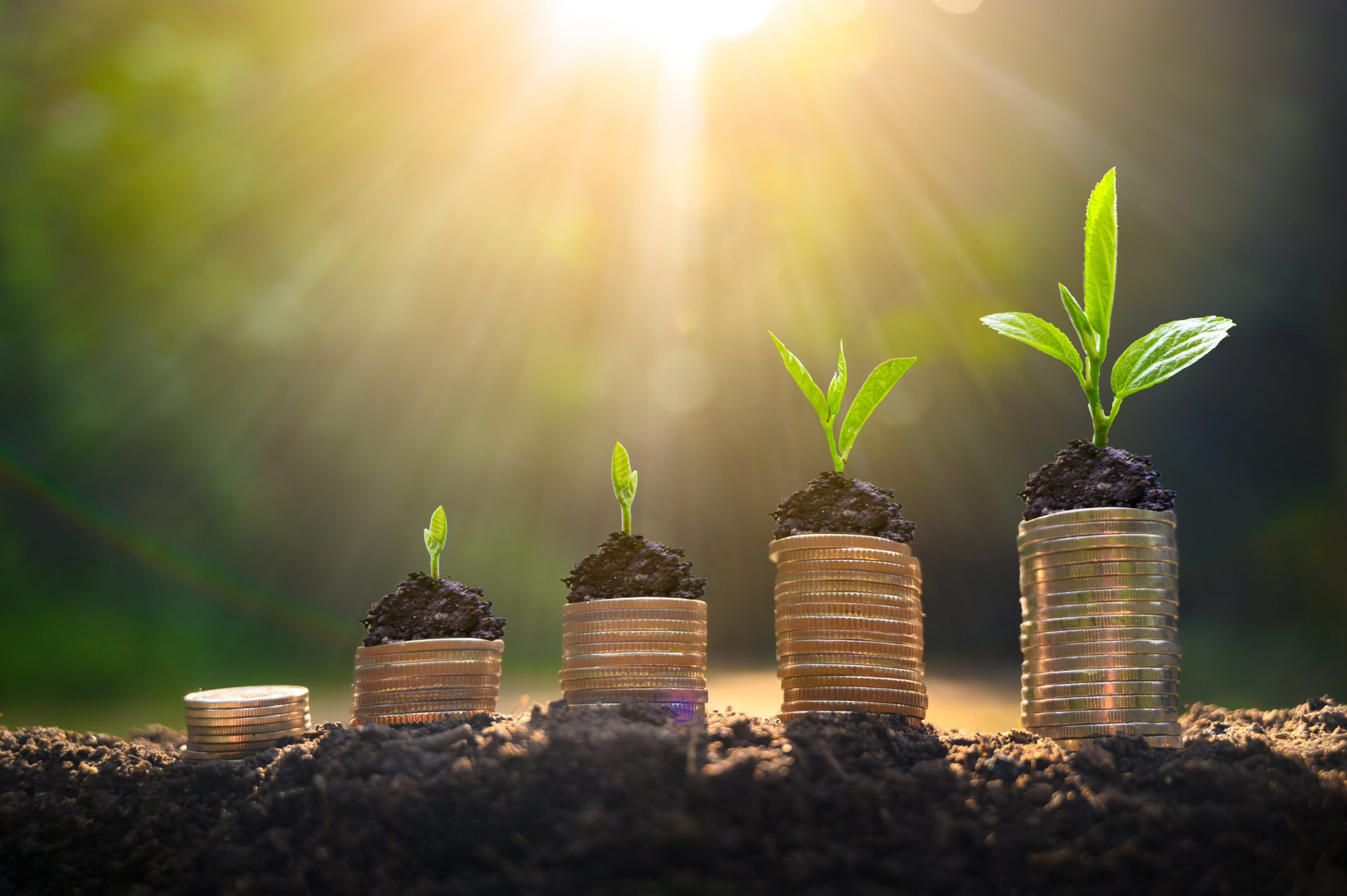 Benefits of supplier diversity: cost savings