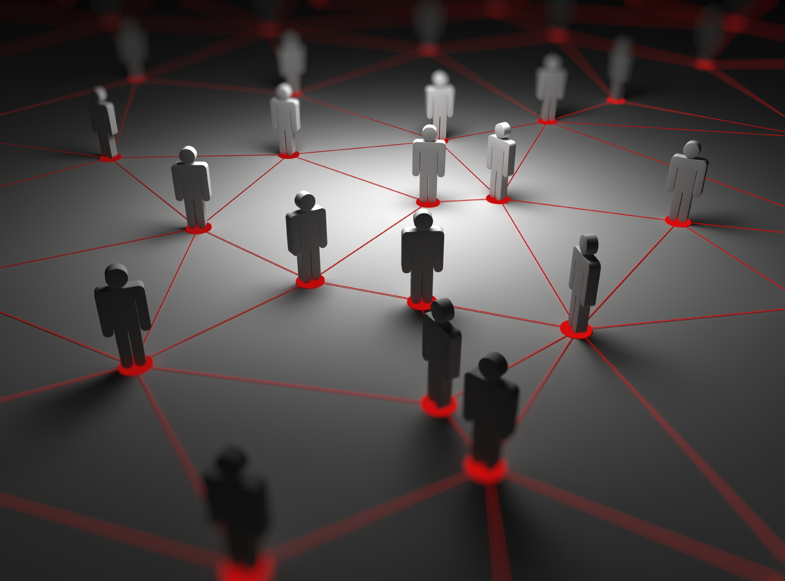 Benefits of supplier diversity: Innovative network