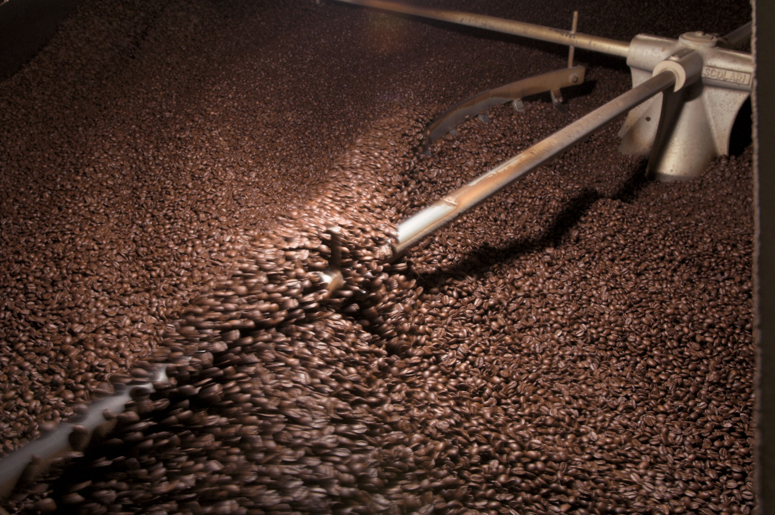 From Supplier Qualification to Contract Management: illycaffè’s Digital Procurement Project