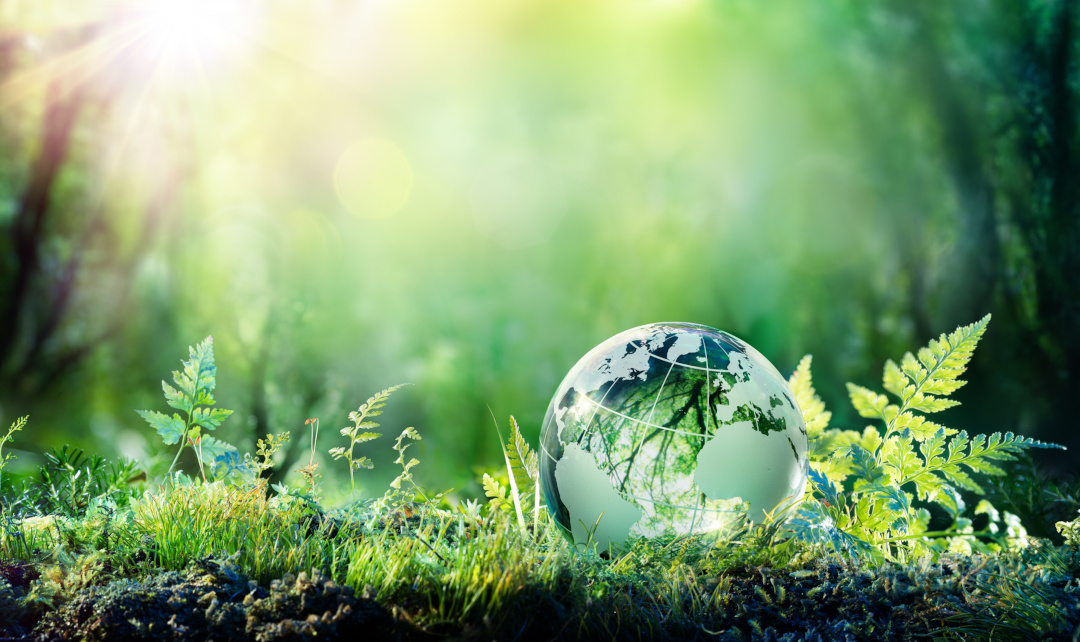 Strategic Sourcing and Decarbonization: Decision-making across Disciplines
