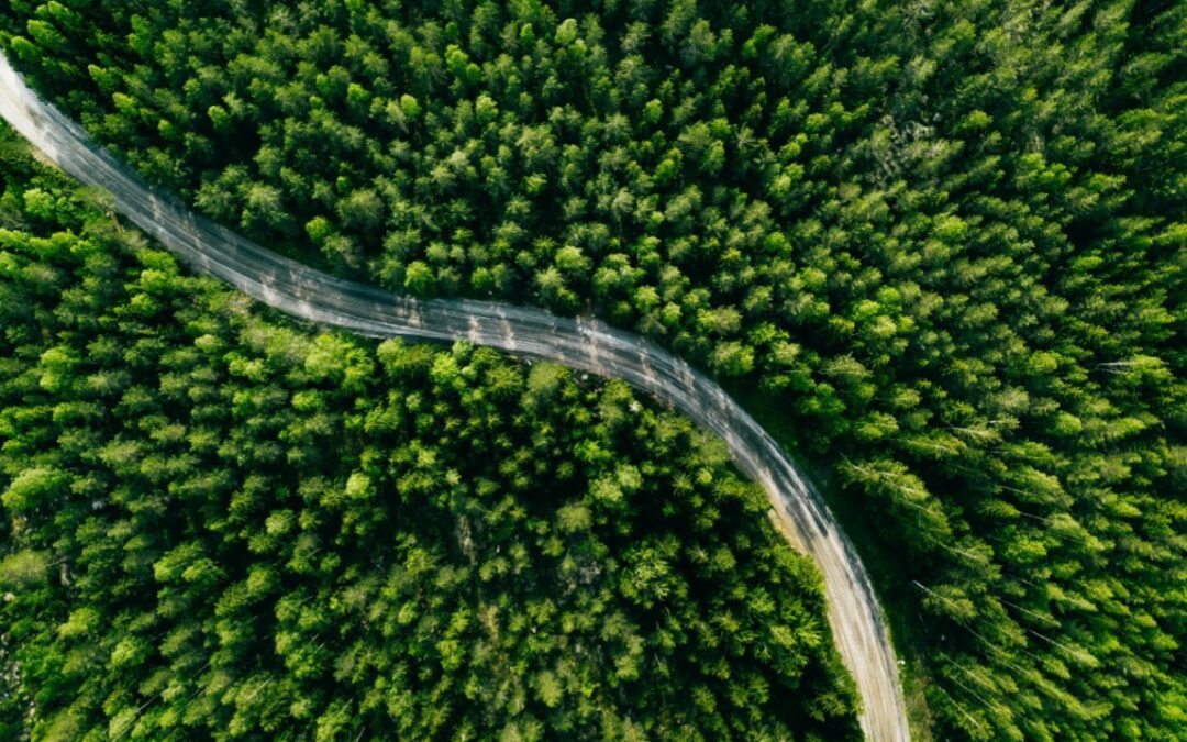 Drive Business Success with Sustainable Procurement