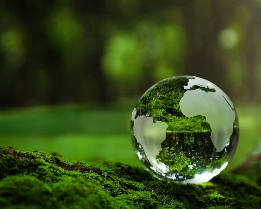 Unlocking Financial Gains Through ESG in Procurement