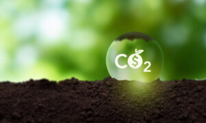 Carbon credit concept