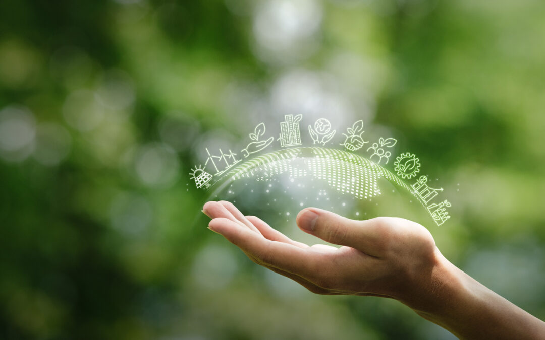 CSR, ESG and Sustainability: Key Differences Explained 