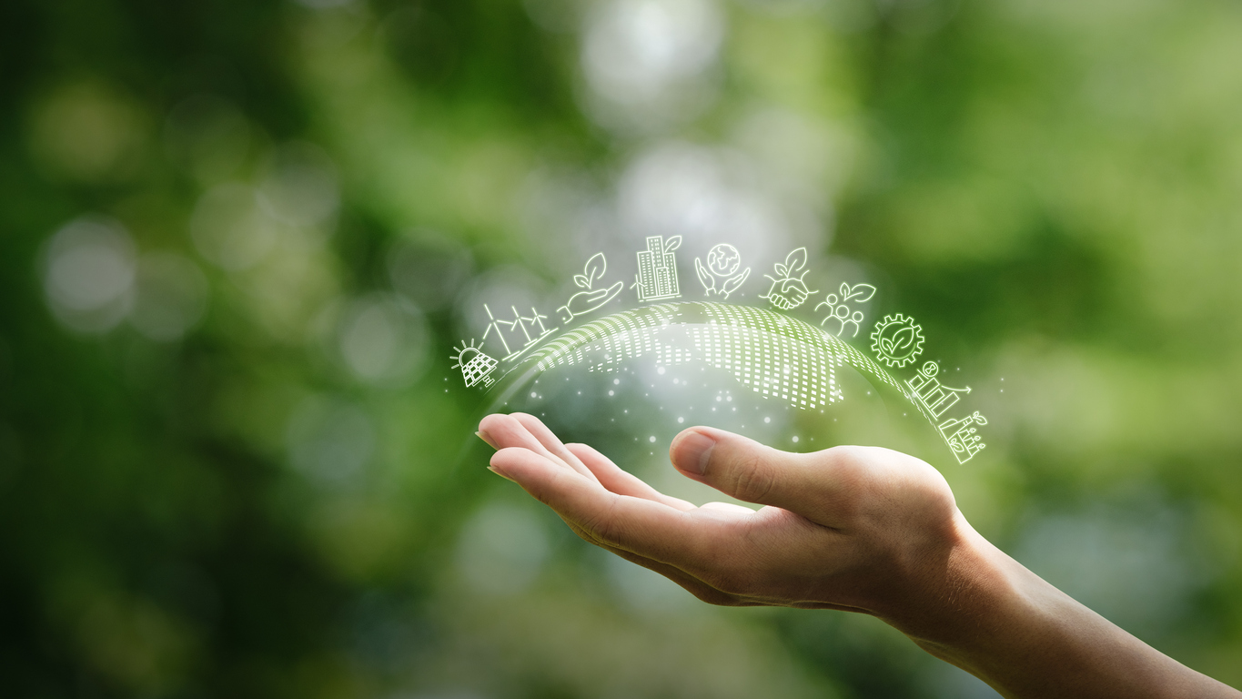 CSR, ESG and Sustainability: Key Differences Explained 
