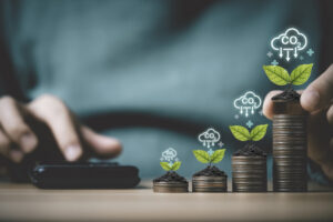 Plant growing on coins