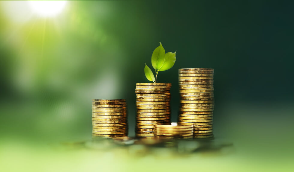 Carbon Costs Are No Longer Just a Sustainability Issue—They’re a P&L Challenge Carbon Costs Are No Longer Just a Sustainability Issue—They’re a P&L Challenge