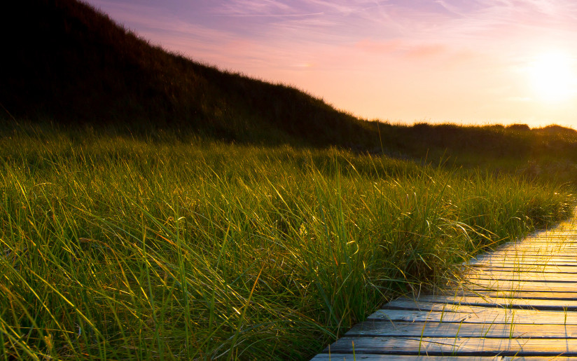 Get Transparency in the Supply Chain to Comply with Sustainability Regulations – Part 2: Here’s How!