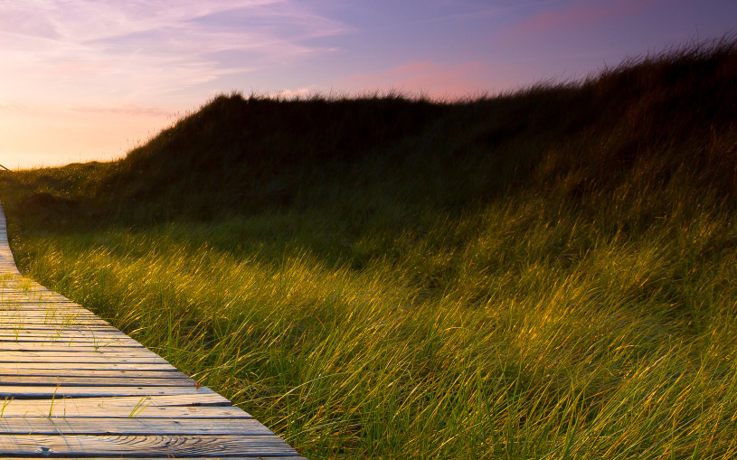 Get Transparency in the Supply Chain to Comply with Sustainability Regulations – Part 1: What’s Needed?